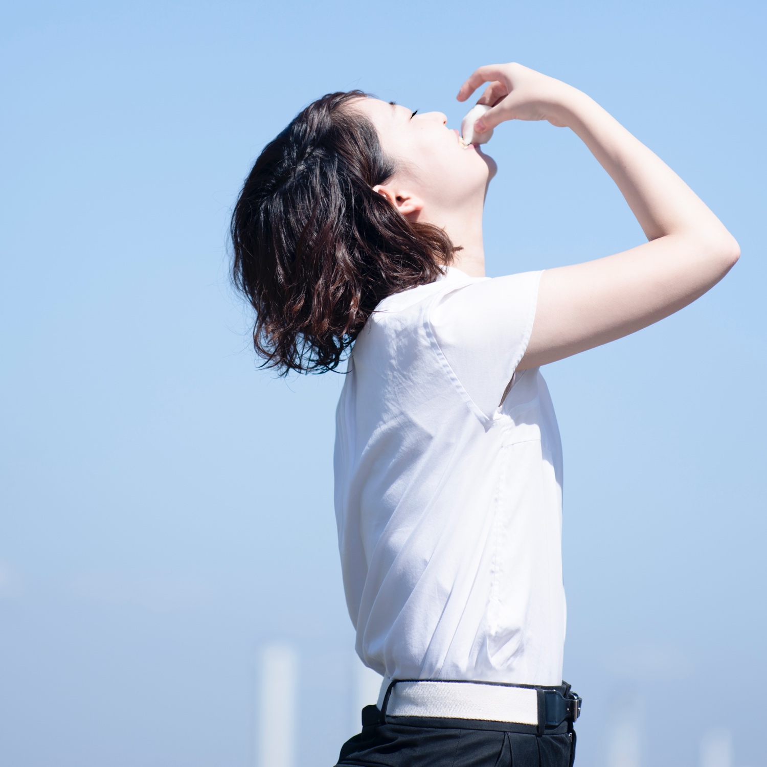 新多氏写真